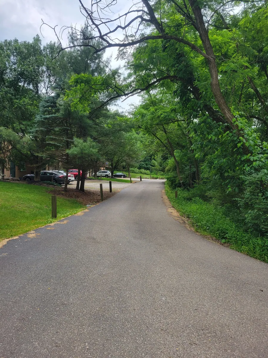 Tree-lined drive through Hidden Pines with townhomes alongside the road